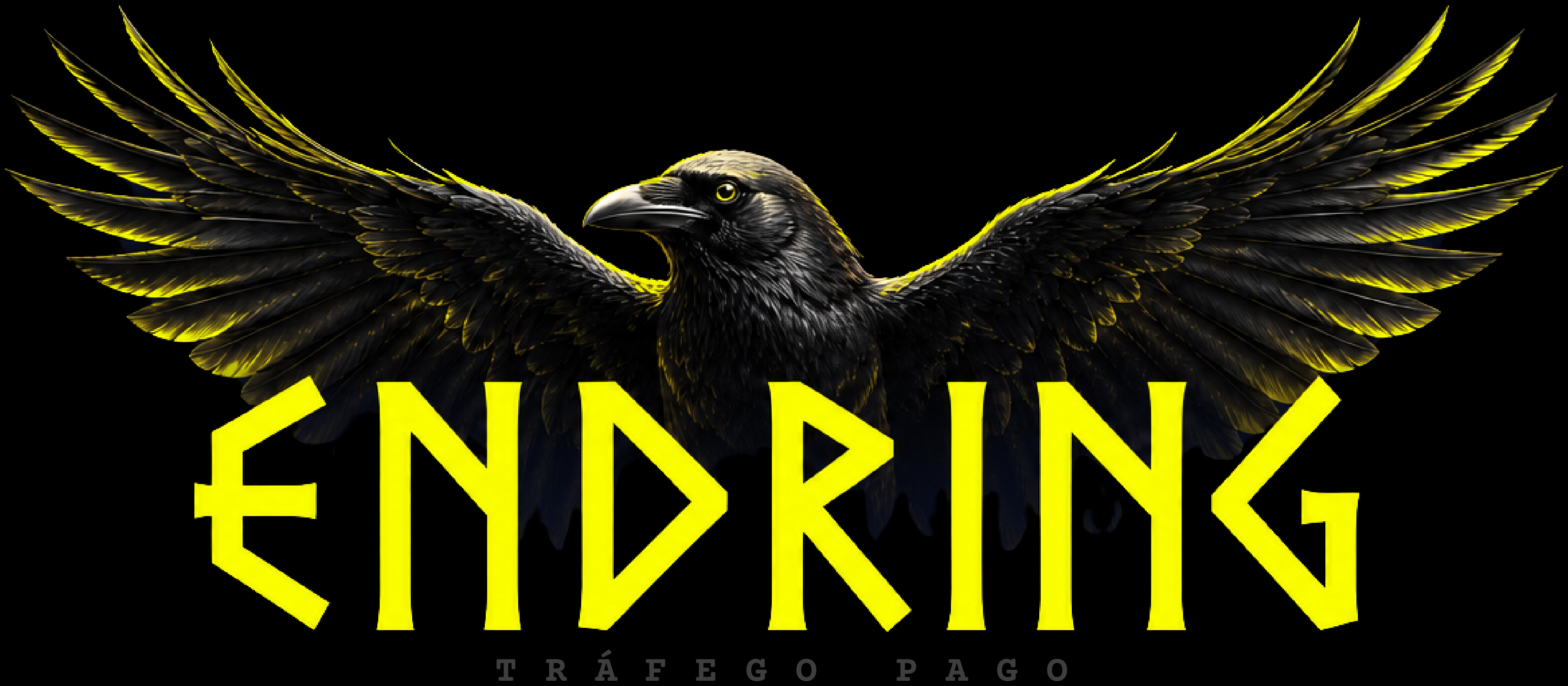 Endring — Tráfego Pago